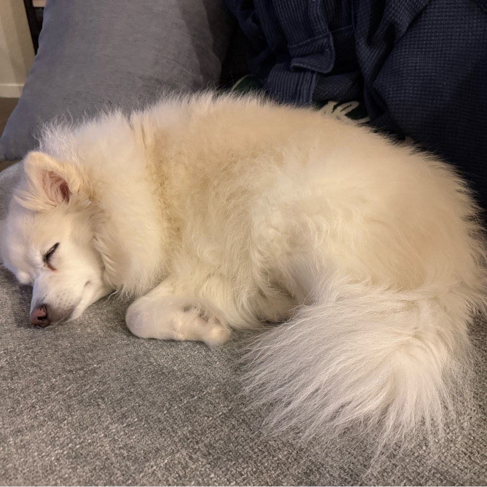 Meet your Posher, Kristen